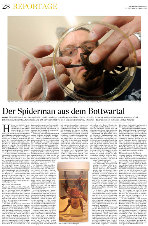 091030_stz_vogelspinnen.jpg